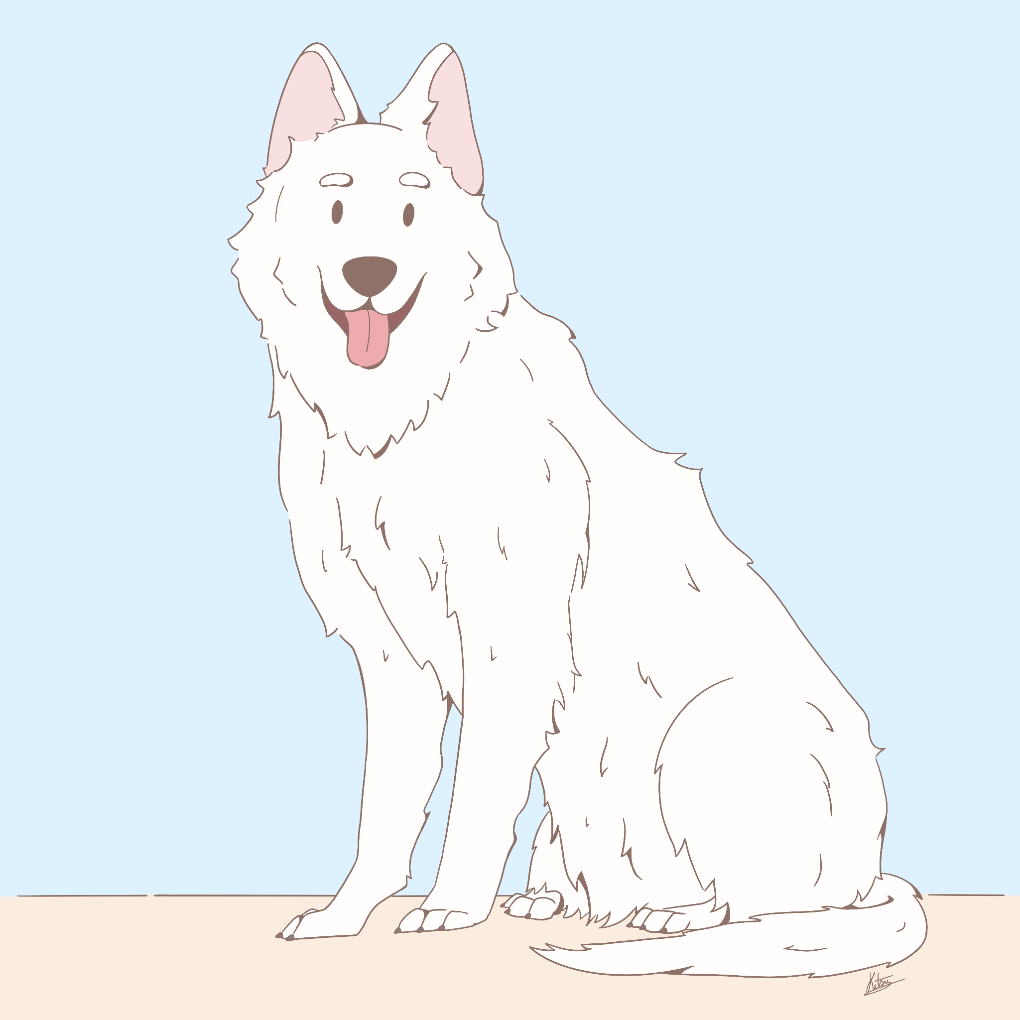 Berger Blanc Suisse