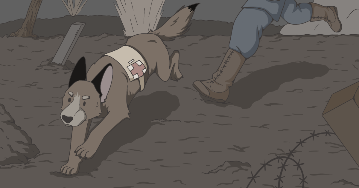 Des tranchées au canapé : l&rsquo;histoire méconnue du Malinois !