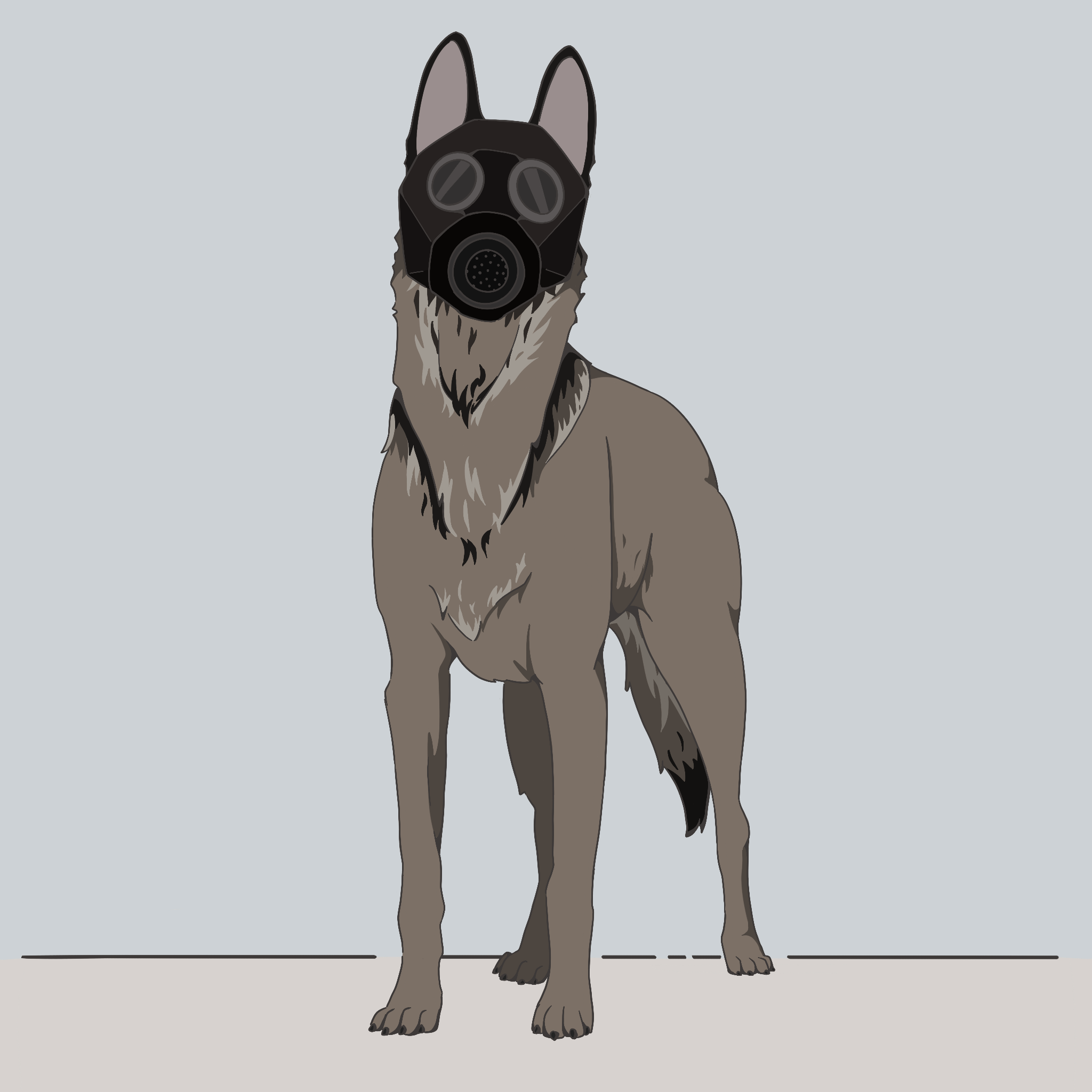 Malinois Guerre