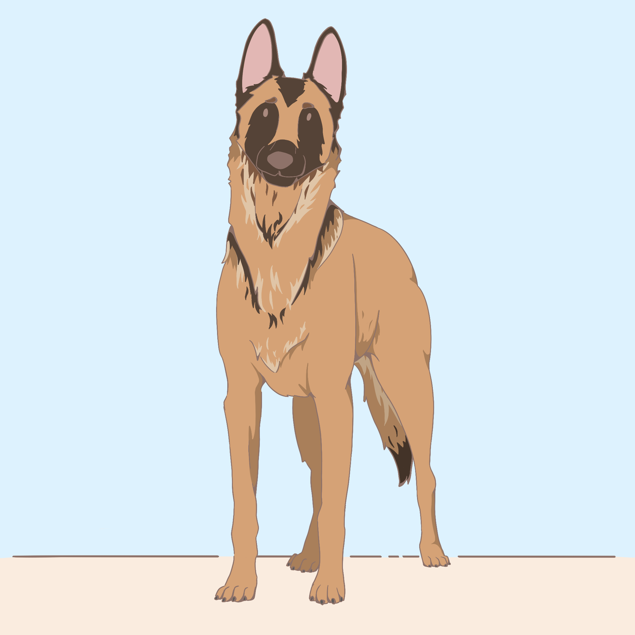Malinois